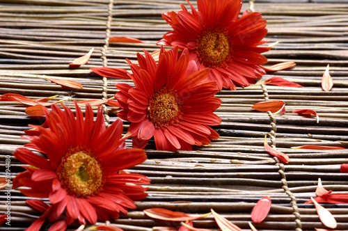 Photo: Red flower with petals in the spa Red flower with petals in the spa
