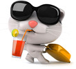 Fun cat