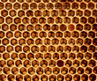Photo: Honeycomb Honeycomb
