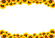 sun flower frame