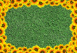 sun flower frame
