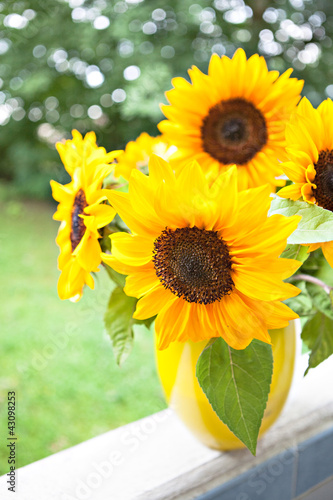 Photo: bunch of sunflowers bunch of sunflowers
