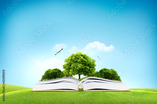 Photo: Book and big green tree for traveling and eco concept Book and big green tree for traveling and eco concept
