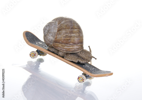 Photo: Schnelle Schnecke Schnelle Schnecke