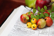 Thanksgiving scripture - 1 Chronicles 16:8