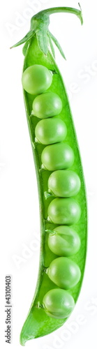 Photo: Open the pod peas on a white background. Open the pod peas on a white background.