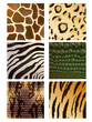Vector Set of Different Animal Skins