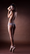 Sexy girl stand topless on ballet pointes