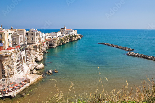 Photo: Panoramic view of Vieste. Puglia. Italy. Panoramic view of Vieste. Puglia. Italy.