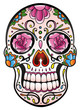 Mexican Sugar Skull, Totenkopf, bunt, vector