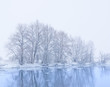 Photo: trees on the bank of the river in snowfall trees on the bank of the river in snowfall