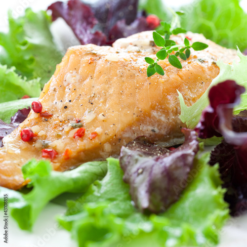 Photo: frischer Salat mit Lachs frischer Salat mit Lachs