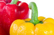 Photo: Fresh vegetables Fresh vegetables