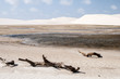 Foto: Sand dunes of the Lencois Maranheses in Brazil Sand dunes of the Lencois Maranheses in Brazil