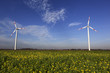 Wind Turbines with blue sky and the sun shining on green