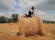 hay