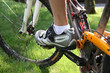 Photo: VTT VTT