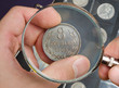 The numismatist examines a coin from the collection