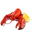 Foto: Roter Hummer mit Zitronen Roter Hummer mit Zitronen