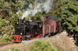 Harzer Schmalspurbahnen Dampflok im Selketal