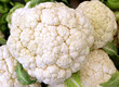 cauliflower