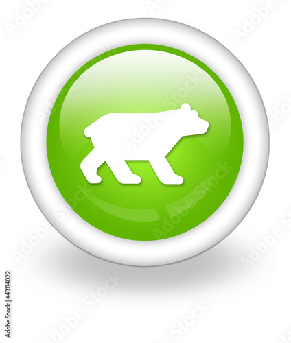 icon bear