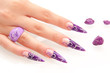 Stiletto Presentation