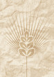 Natural paper for food - Carta naturale per alimenti