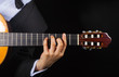Photo: Vulture of the guitar Vulture of the guitar
