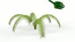 Investition Gewinn
