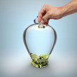 Hucha Cristal