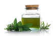 herbal essence