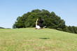 Photo: Salto in der Natur Salto in der Natur