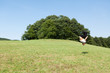 Photo: Salto in der Natur Salto in der Natur