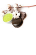 accessories for the spa on a white background