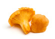 chanterelle mushrooms