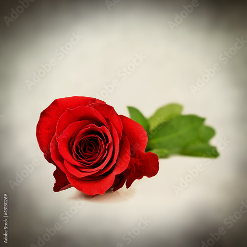 Foto: romance romance