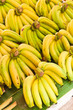Rows of Yellow bananas in market