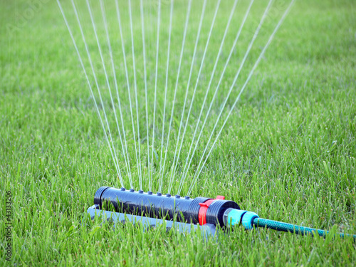 Foto: Lawn watering Lawn watering