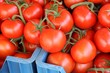 Tomaten 5