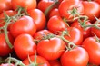 Tomaten 3