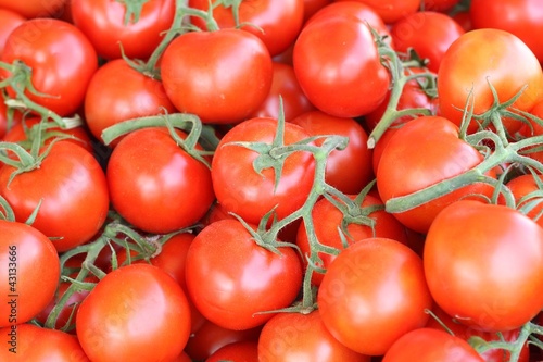 Photo: Tomaten 4 Tomaten 4