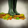 Foto: wellies wellies