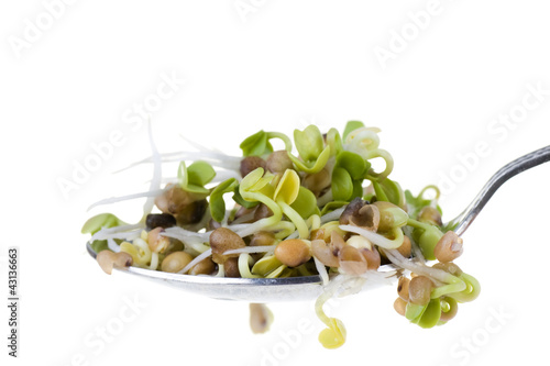 Photo: Radish sprouts on a spoon isolated on white background Radish sprouts on a spoon isolated on white background