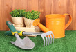 Gardening tools on wooden background