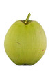 Coconut Fruit on white background.