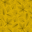Vektor: seasonal background with outlines of leaves seasonal background with outlines of leaves