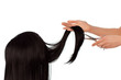 Foto: hairdresser hairdresser