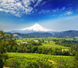 A beautiful view from panaroma view point
