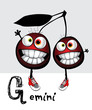 gemini